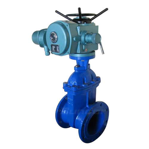 Electric Gate Valve4